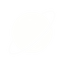 Orbit Logo